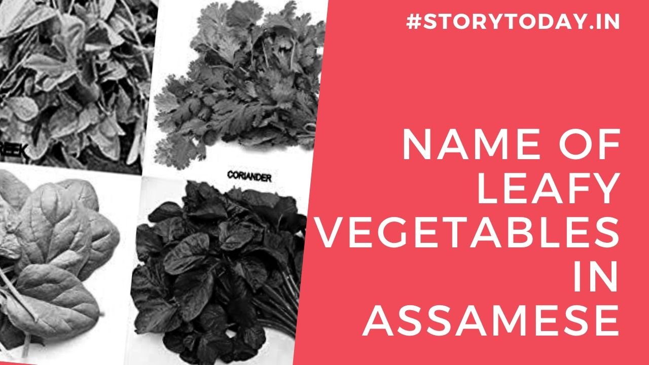 Name of Leafy Vegetables in Assamese
