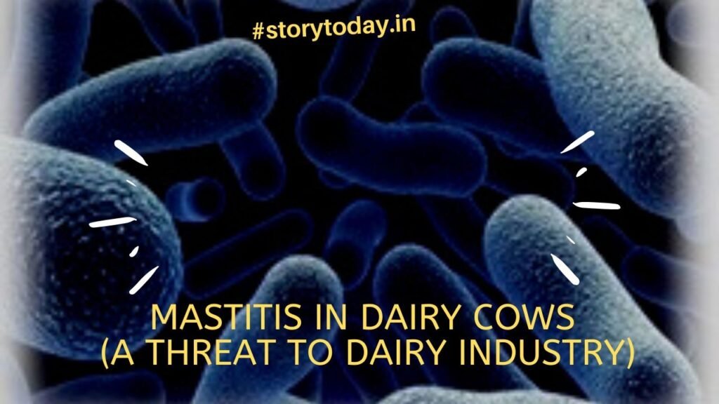 MASTITIS IN DAIRY COWS (A THREAT TO DAIRY INDUSTRY) StoryToday.in