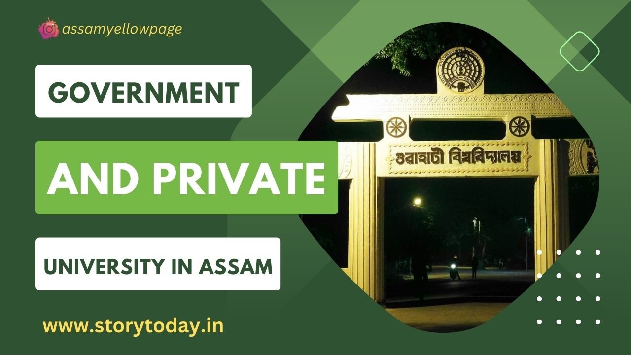 Assam government distributes appointment letters to 11,236 youth in the  state | Mint